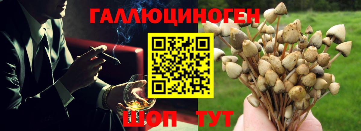 Коркино  Галлюциногенные грибы прущие грибы  наркошоп  Вход с VPN 